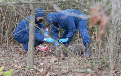 Schweinepest-Allgemeinverfügung erlassen